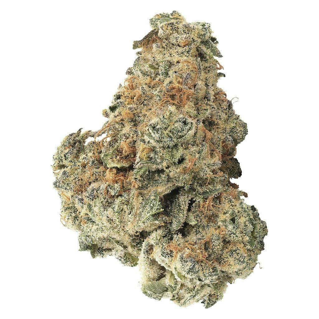 GMO Kush