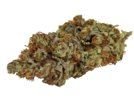 Tangerine Cookies
