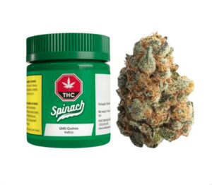 GMO Cookies | Big Buds
