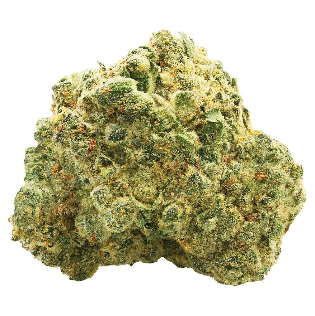 Spinach OG Kush | Big Buds cannabis Edmonton