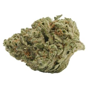 Liquid Imagination | Big Buds