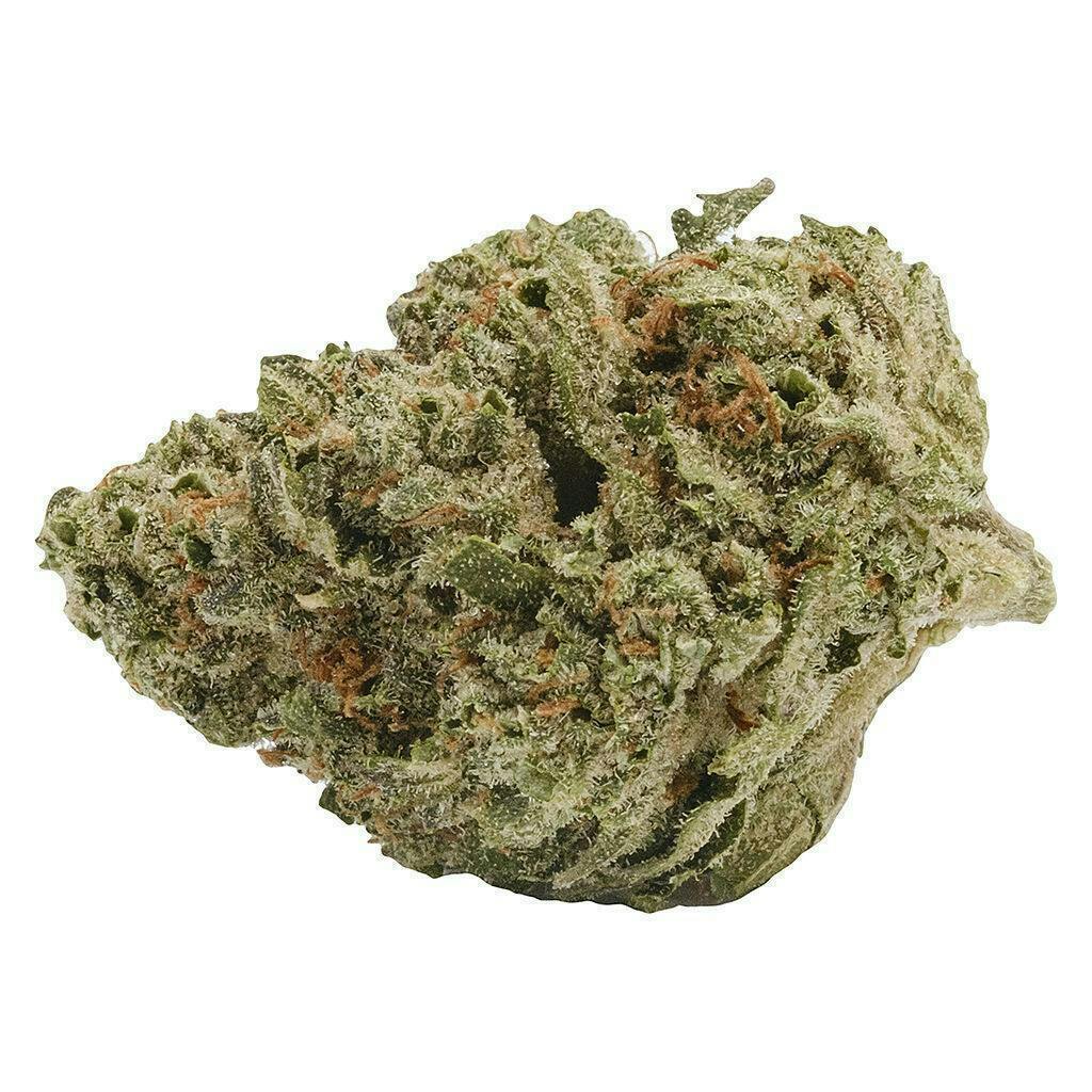 Back Forty Liquid Imagination | Big Buds cannabis Edmonton