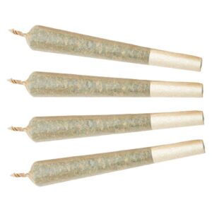 Indica Minis