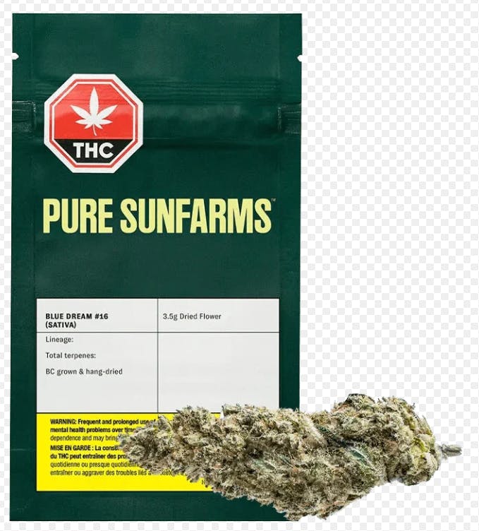 Blue Dream #16