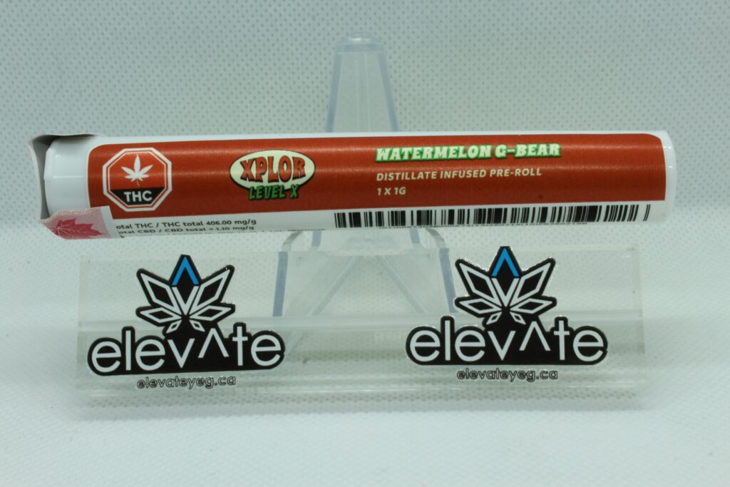 Level X Watermelon G-Bear