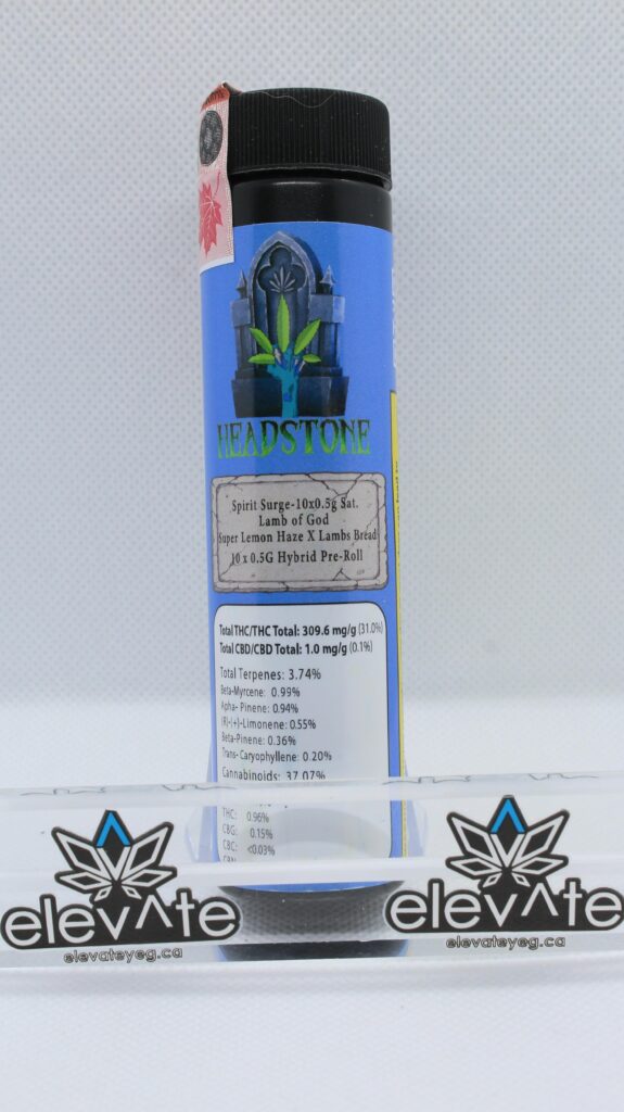 Spirit Surge